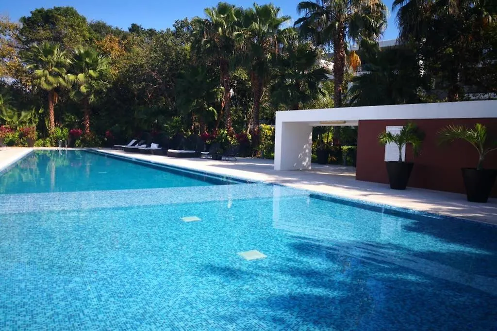Loteria Balcony Deluxe Studio Corasol Riviera Maya Apartment Playa del Carmen